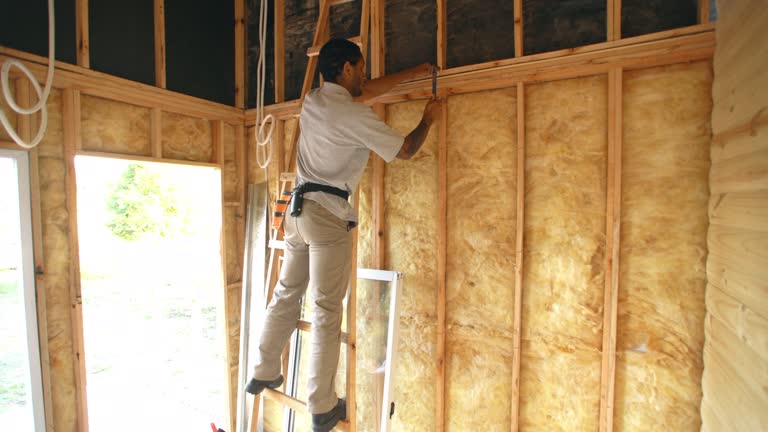 Best Insulation Removal  in Cordova, NC