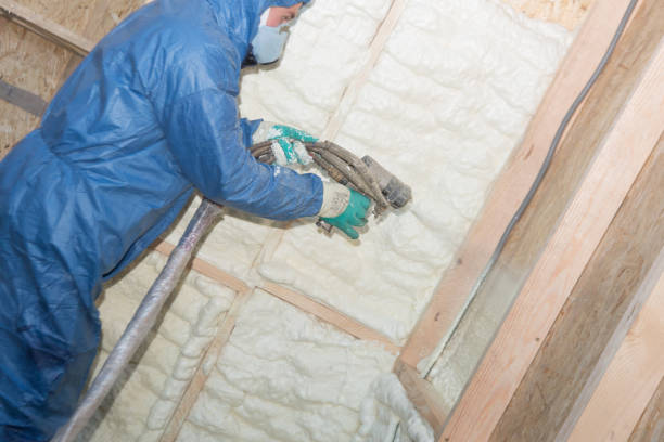 Best Thermal Imaging for Insulation Gaps  in Cordova, NC